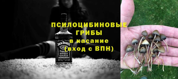 мяу мяу мука Абаза