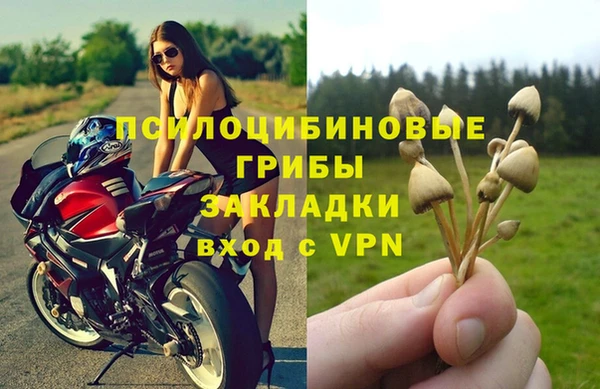 тгк Абинск