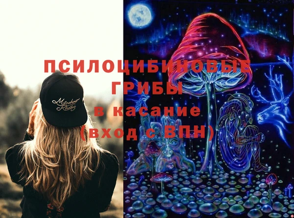 тгк Абинск